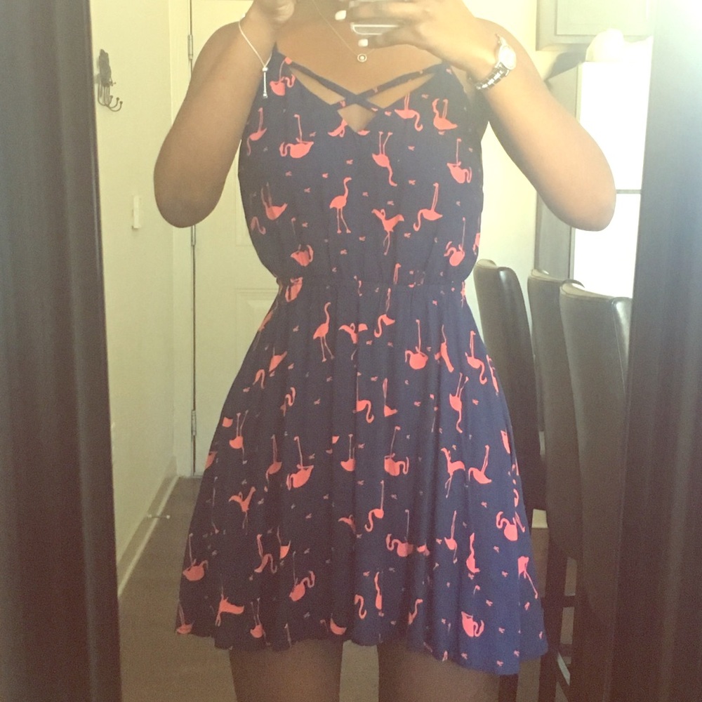 Spring Summer Flamingo Mini Dress